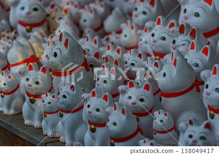 Tokyo city in Japan 138049417