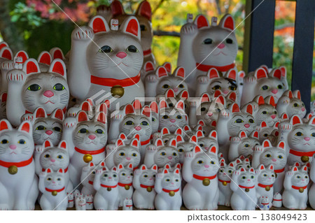 Tokyo city in Japan 138049423