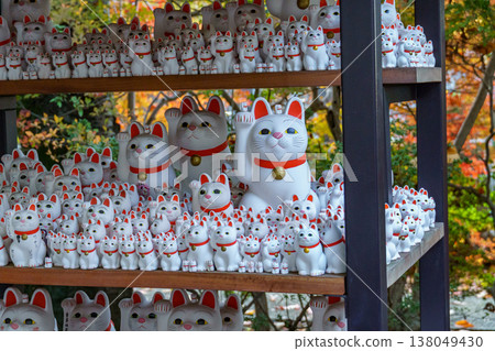 Tokyo city in Japan Tokyo city in Japan 138049430
