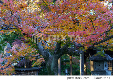Tokyo city in Japan Tokyo city in Japan 138049464