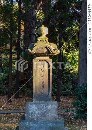 Tokyo city in Japan Tokyo city in Japan 138049479