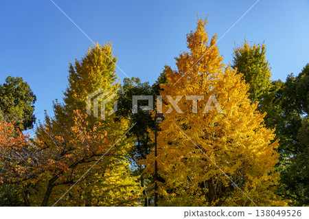the city of tokyo at autumn time the city of tokyo at autumn time 138049526