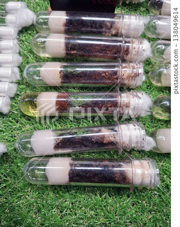 Test tubes filled with live ants are displayed for sale at an insect exhibition. Visitors can learn about home breeding and how to care for these insects in 2023. 138049614