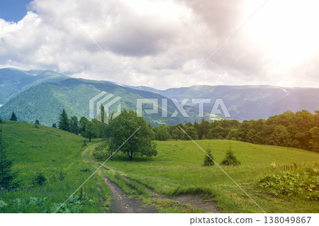 Wide peaceful summer landscape. Empty field road stretching to horizon through green grassy meadow and trees lit by sun towards distant mountains covered with dense forest. Beauty of nature concept. 138049867