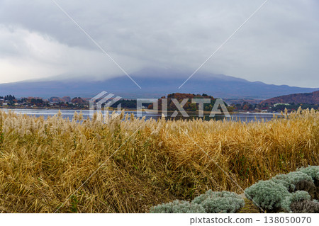 tokyo city in Japan at autumn time tokyo city in Japan at autumn time 138050070