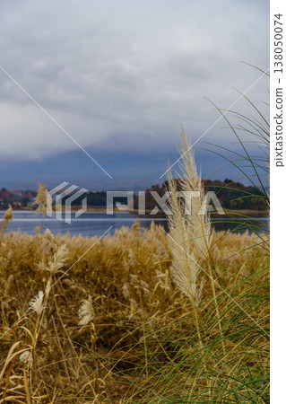 tokyo city in Japan at autumn time 138050074