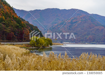 tokyo city in Japan at autumn time tokyo city in Japan at autumn time 138050085