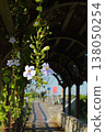 花 138050254