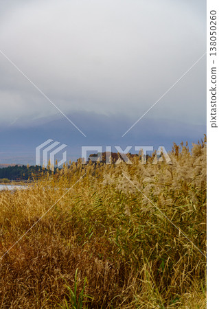 autumn time near Tokyo in japan autumn time near Tokyo in japan 138050260