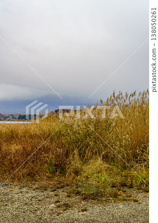autumn time near Tokyo in japan autumn time near Tokyo in japan 138050261