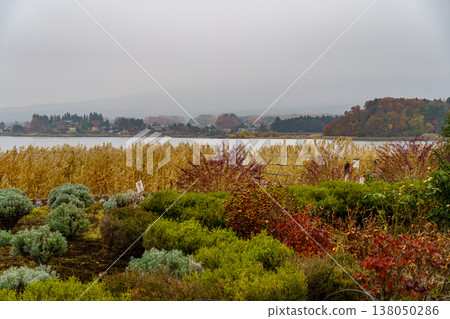 autumn time near Tokyo in japan 138050286