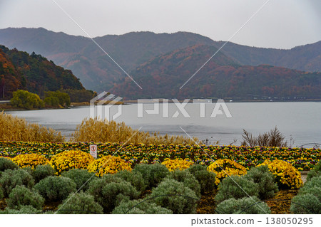 autumn time near Tokyo in japan autumn time near Tokyo in japan 138050295