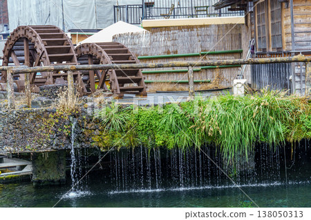 autumn time near Tokyo in japan autumn time near Tokyo in japan 138050313
