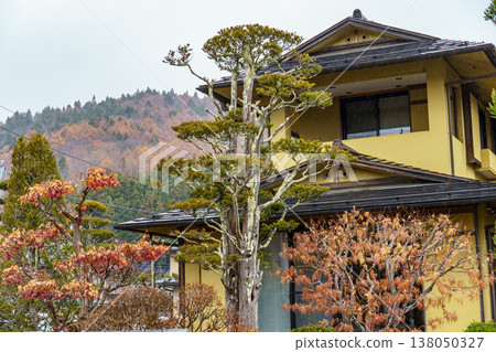 autumn time near Tokyo in japan autumn time near Tokyo in japan 138050327