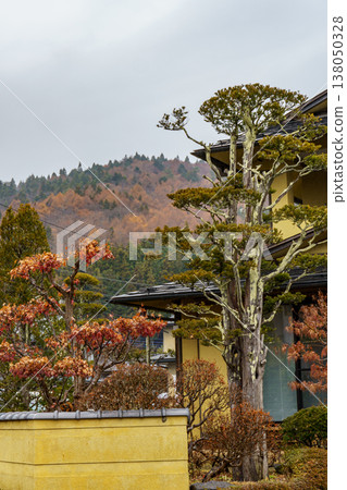 autumn time near Tokyo in japan autumn time near Tokyo in japan 138050328