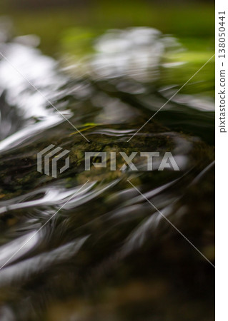 The shimmering surface of the water and the vibrant colors of fresh greenery - vertical 138050441