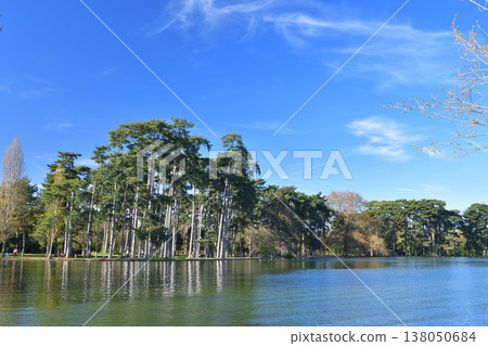 The Bois de Boulogne, a pine forest along the shores of Lake Inferieur, Paris, March 17, 2026. The Bois de Boulogne, a pine forest along the shores of Lake Inferieur, Paris, March 17, 2026. 138050684