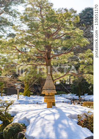 白雪皚皚的兼六園中，一棵松樹和一張草蓆靜靜佇立。 138051170
