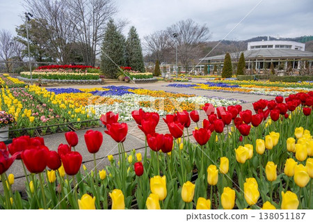 Spring scenery at Ashikaga Flower Park Spring scenery at Ashikaga Flower Park 138051187