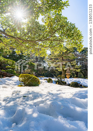 陽光照射進白雪皚皚的兼六園：松樹和草蓆構成了一幅冬日景象。 138051233