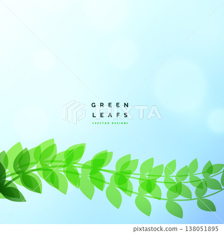 beautiful green leaf eco nature vector background beautiful green leaf eco nature vector background 138051895