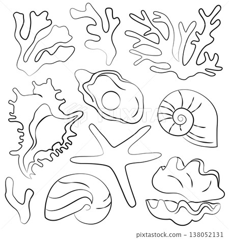Hand-drawn sea treasures, shells, corals, starfish and pearl oyster, underwater sea world graphic illustrations for wedding decor Hand-drawn sea treasures, shells, corals, starfish and pearl oyster, underwater sea world graphic illustrations for wedding decor 138052131