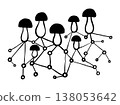 Porcini mushrooms mycelium. Ink black hand drawn line illustration on white background. 138053642