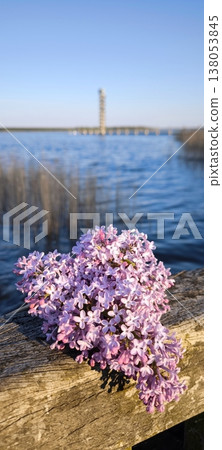 A bouquet of lilacs against the backdrop of the lake shore A bouquet of lilacs against the backdrop of the lake shore 138053845