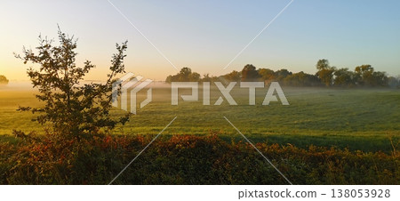 Morning landscape with fog over field and trees at dawn Morning landscape with fog over field and trees at dawn 138053928