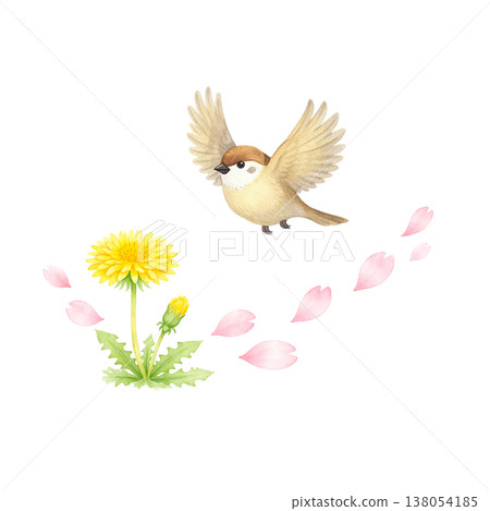 簡潔的設計，以蒲公英和小鳥為主題；展現自然的春天景象；白色背景上的花瓣裝飾。 138054185