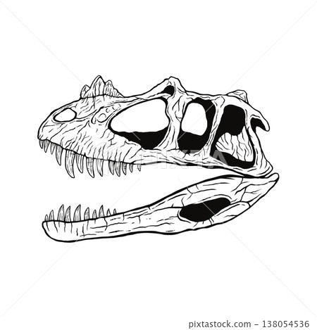Ceratosaurus skull fossil (monochrome) Ceratosaurus skull fossil (monochrome) 138054536