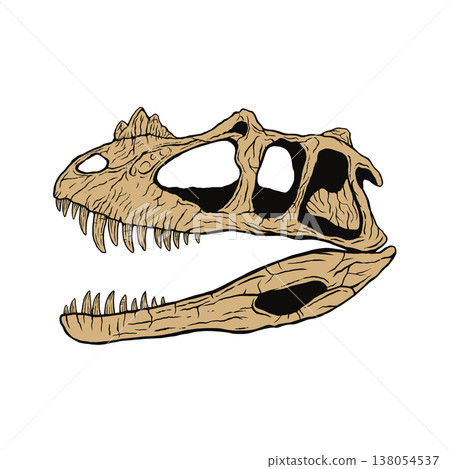 Fossil of a Ceratosaurus skull 138054537