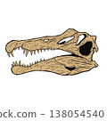 Fossil of a Spinosaurus skull 138054540
