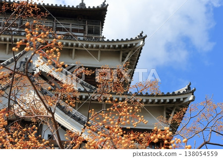 Hiroshima Castle, Main Tower, Exterior View 138054559