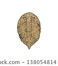 Trilobite fossil 138054814