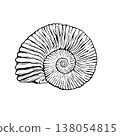 Ammonite fossil (monochrome) 138054815