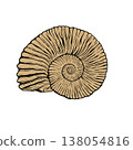 Fossil of ammonite 138054816