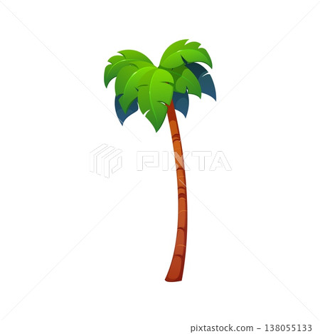 Pirate icon, palm tree of Caribbean island and corsairs piracy, cartoon vector. Palm tree exotic tropical plant of African jungle forest for marine adventure pirate icon or corsairs island game asset Pirate icon, palm tree of Caribbean island and corsairs piracy, cartoon vector. Palm tree exotic tropical plant of African jungle forest for marine adventure pirate icon or corsairs island game asset 138055133