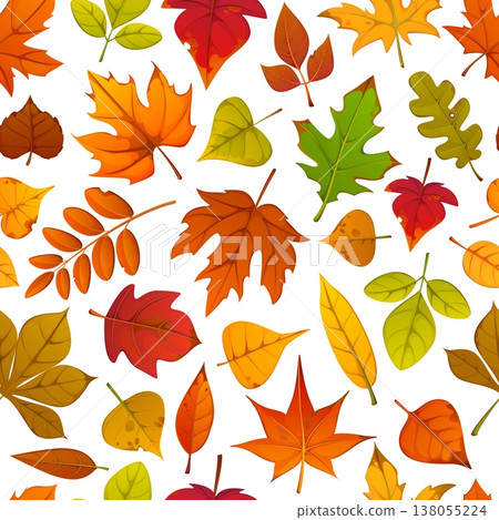Autumn leaves seamless pattern, seasonal foliage background. Fall season repeated details vector pattern. Autumn foliage print or backdrop with maple, birch, oak, chestnut and linden isolated leaves 138055224