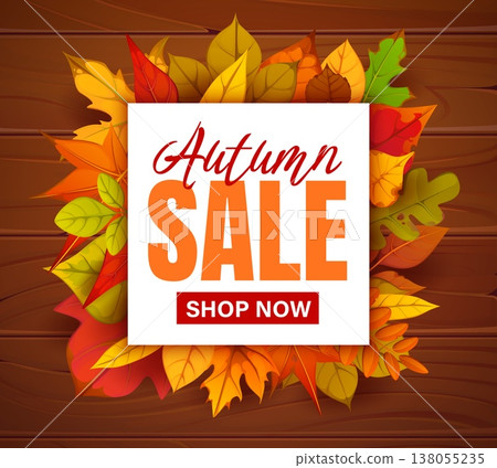 Autumn season sale banner with foliage leaves. Autumn deal offer vector card, thanksgiving bargain sale banner. Seasonal discount flyer with forest orange and yellow leaves, wooden plank background Autumn season sale banner with foliage leaves. Autumn deal offer vector card, thanksgiving bargain sale banner. Seasonal discount flyer with forest orange and yellow leaves, wooden plank background 138055235