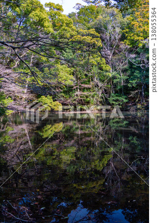 Trees reflected on the surface of the water Trees reflected on the surface of the water 138055364
