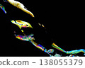 Close-up of a burst soap bubble floating against a black background. 138055379