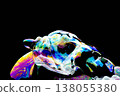 The image of rainbow-colored soap bubbles and foam. 138055380