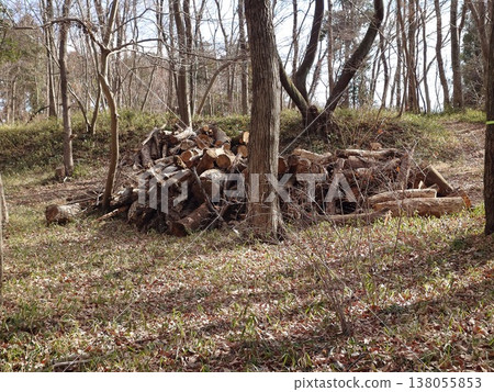 Trees cut down for park maintenance Trees cut down for park maintenance 138055853