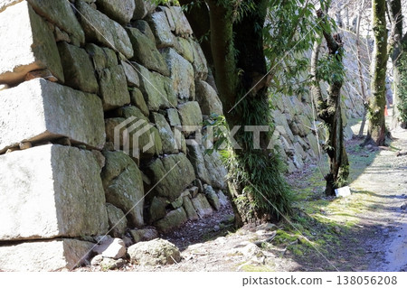 Ishigaki of Hiroshima Castle 138056208