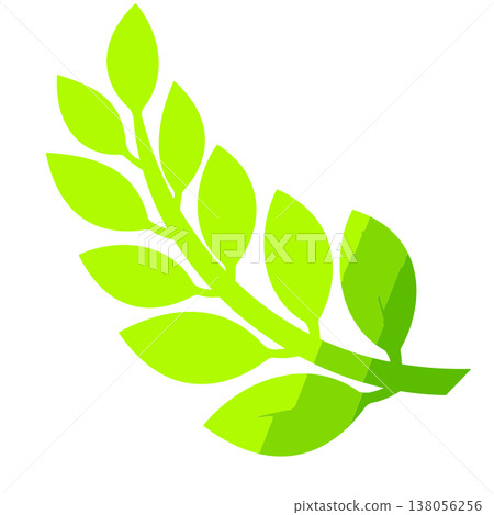 Green Laurel Branch Vector Illustration on White Green Laurel Branch Vector Illustration on White 138056256