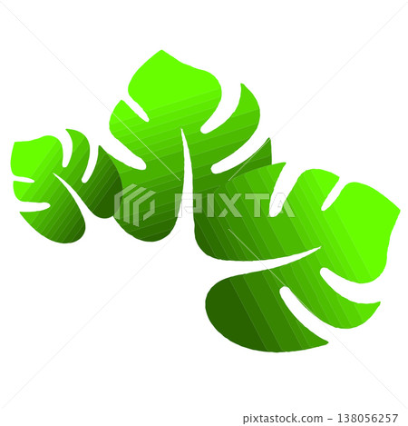Tropical Green Monstera Leaves Graphic Illustration Tropical Green Monstera Leaves Graphic Illustration 138056257