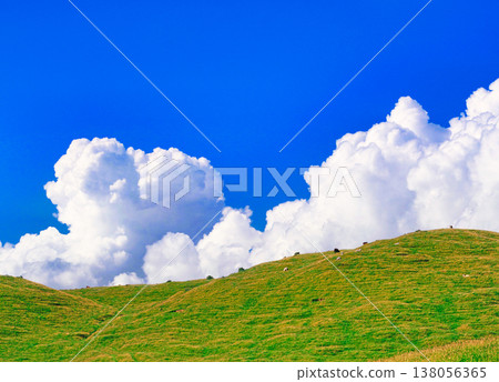 Beautiful pastoral landscapes of New Zealand Beautiful pastoral landscapes of New Zealand 138056365