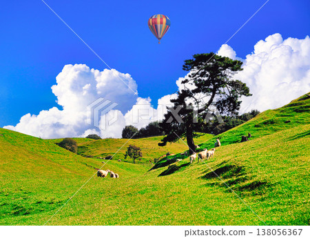 Beautiful pastoral landscapes of New Zealand Beautiful pastoral landscapes of New Zealand 138056367