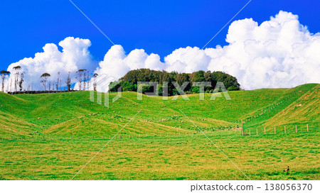 Beautiful pastoral landscapes of New Zealand 138056370